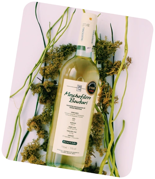 vineyard wine with decorated with plants